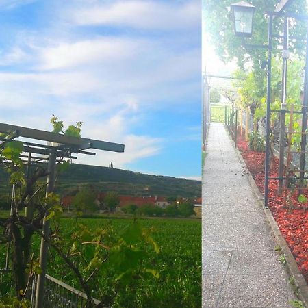 Ferienwohnung Pansion Brda Rohrendorf bei Krems Exterior foto